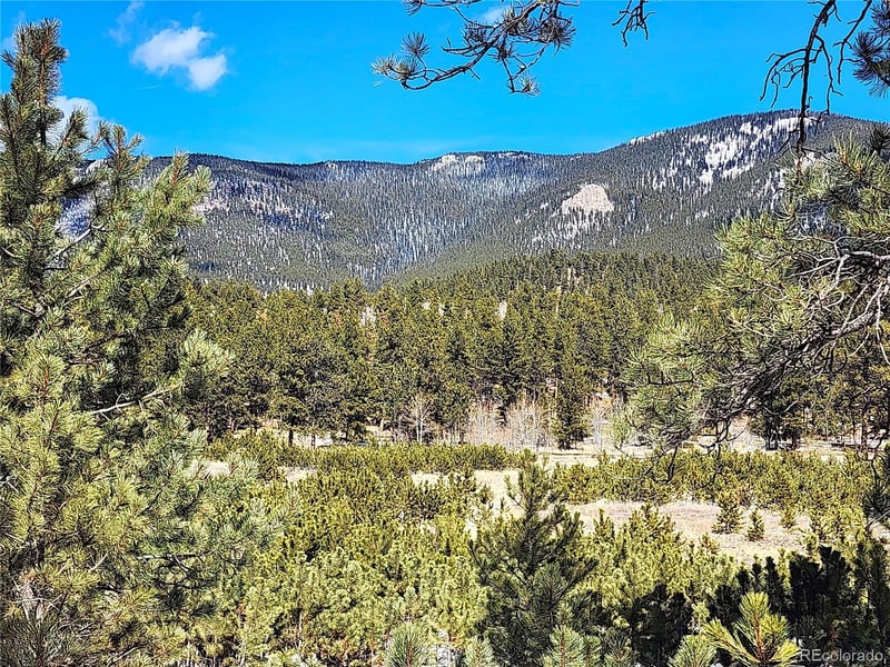 116 Neal St, Bailey, CO 80421