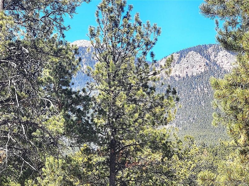 116 Neal St, Bailey, CO 80421