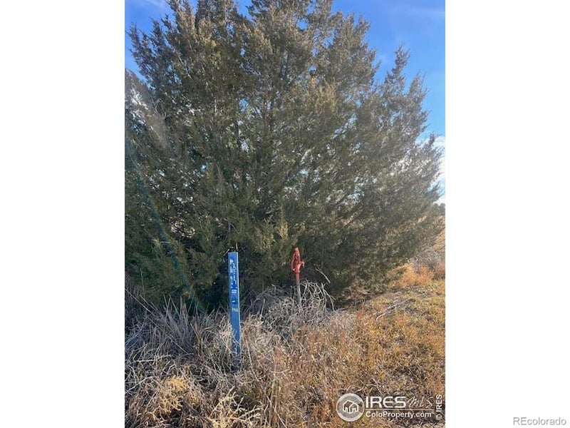 4956 County Rd H, Wiggins, CO 80654