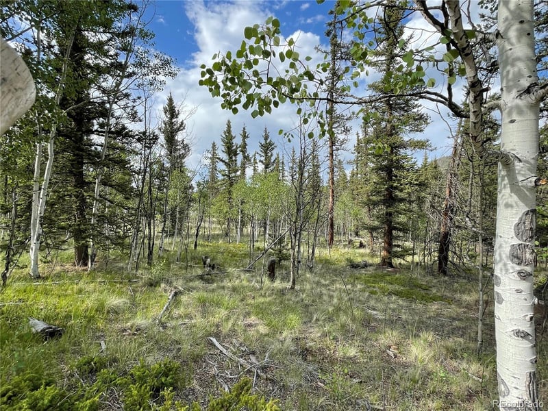80 Haida Way, Jefferson, CO 80456