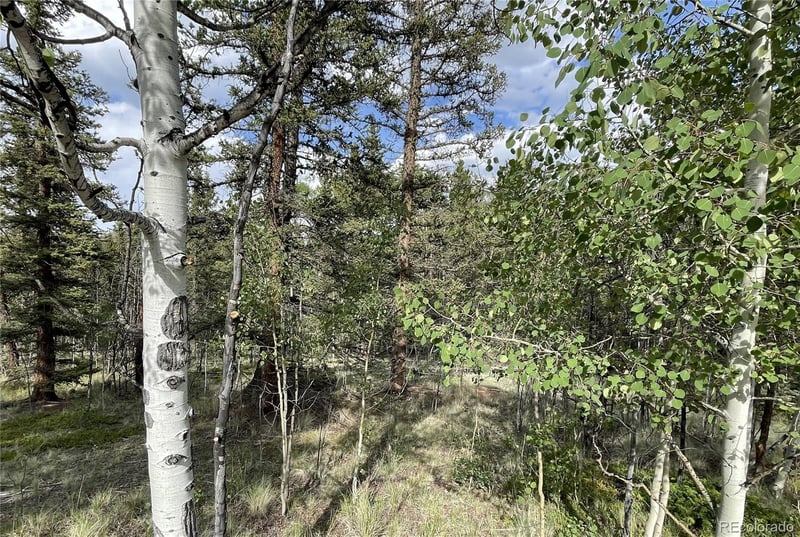 80 Haida Way, Jefferson, CO 80456