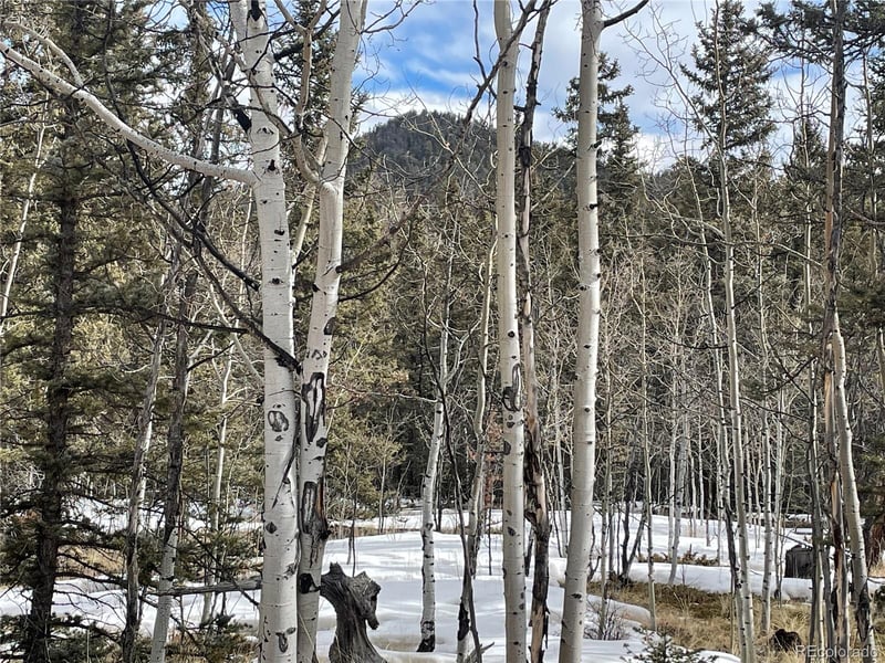 80 Haida Way, Jefferson, CO 80456