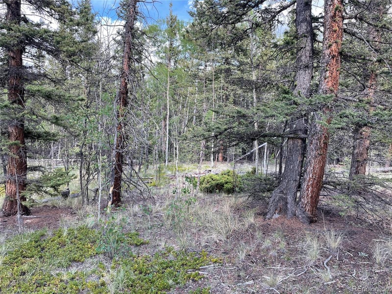 80 Haida Way, Jefferson, CO 80456