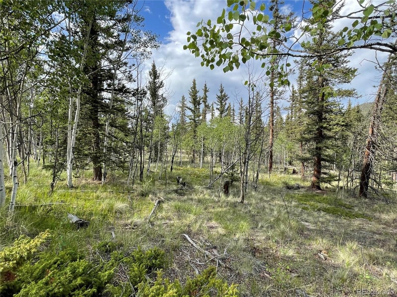 80 Haida Way, Jefferson, CO 80456