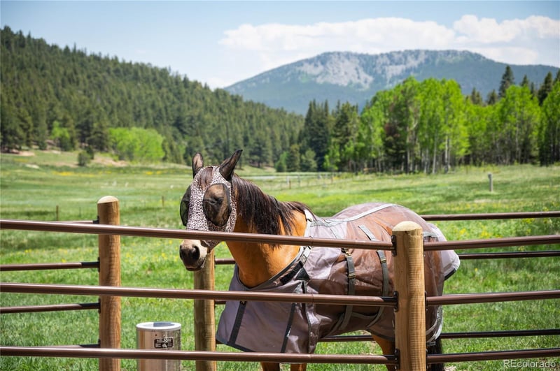 11652 Camp Eden Rd, Golden, CO 80403