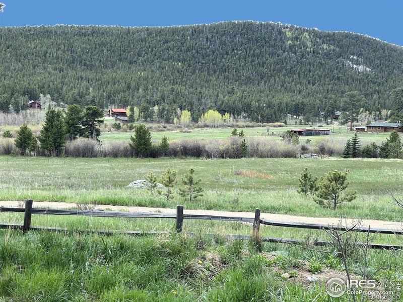 177 Bill Waite Rd, Allenspark, CO 80510