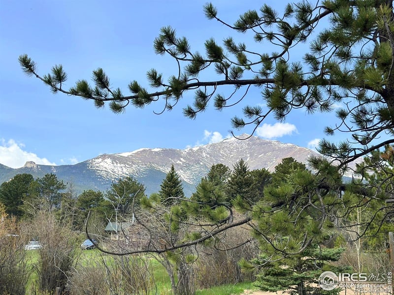 177 Bill Waite Rd, Allenspark, CO 80510