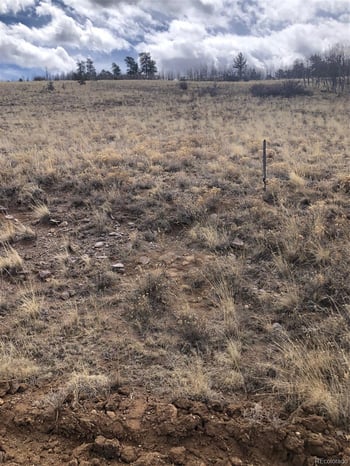 2178 Dog Chief Trl, Hartsel, CO 80449