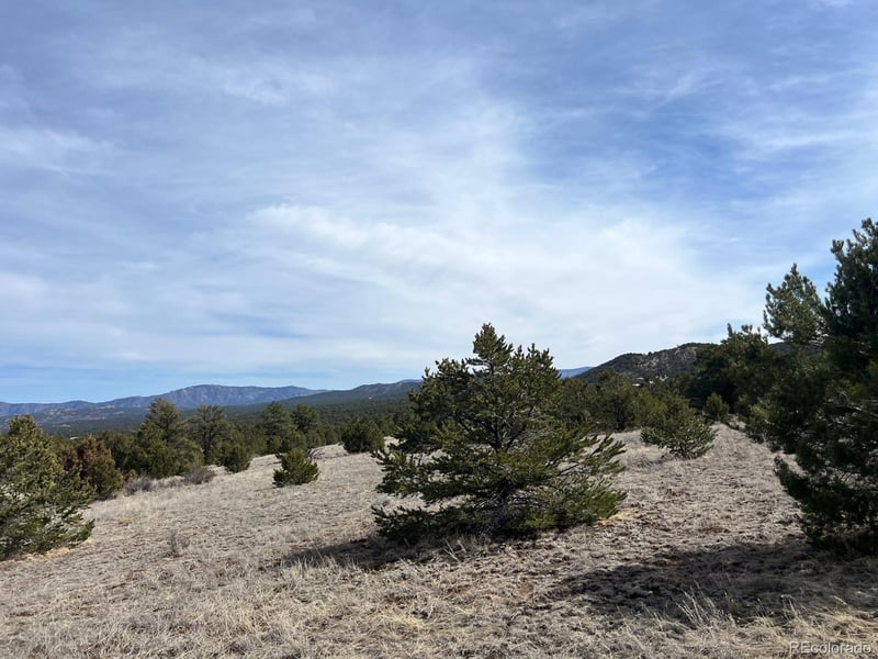 480 Wild Bill Blvd, Westcliffe, CO 81252