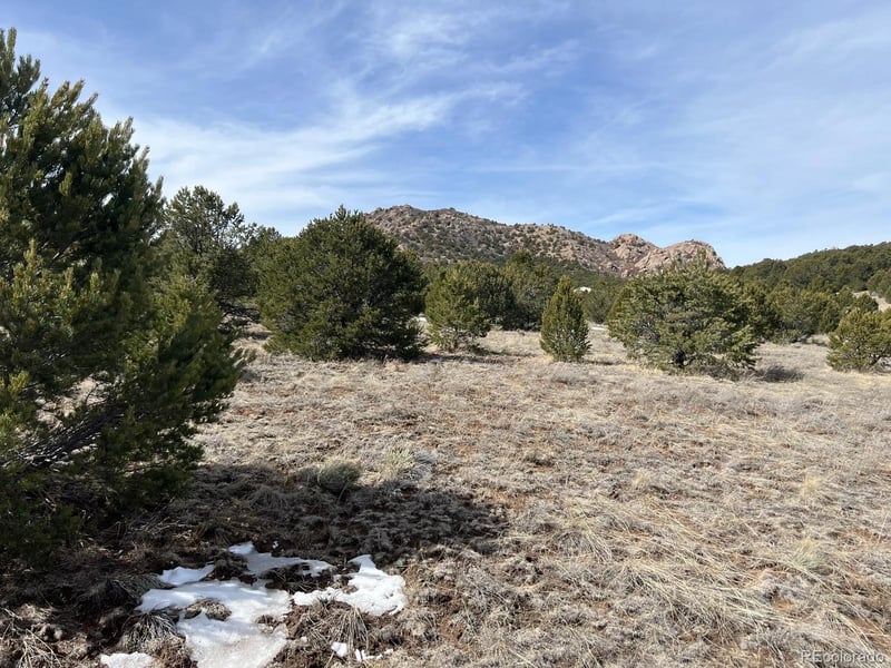 480 Wild Bill Blvd, Westcliffe, CO 81252