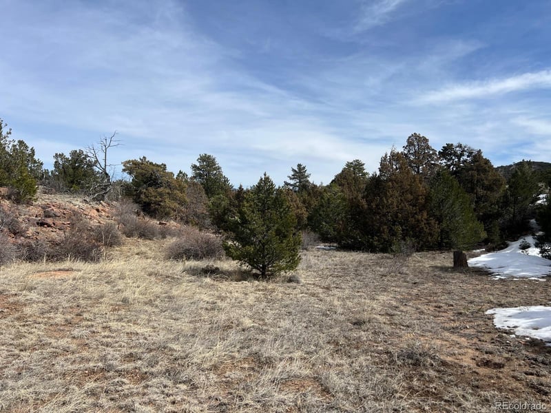 480 Wild Bill Blvd, Westcliffe, CO 81252
