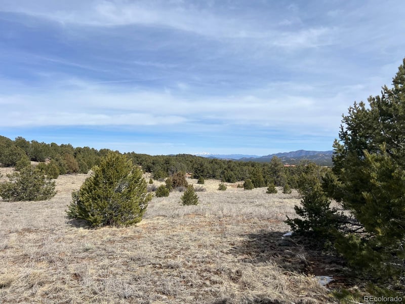 480 Wild Bill Blvd, Westcliffe, CO 81252