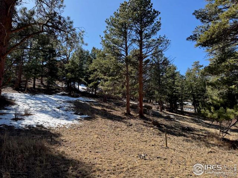 345 Green Pine Ct, Estes Park, CO 80517
