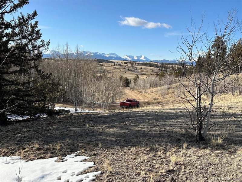 280 Welsh Cob Ln, Jefferson, CO 80456