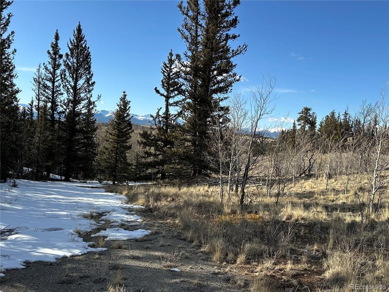 280 Welsh Cob Ln, Jefferson, CO 80456