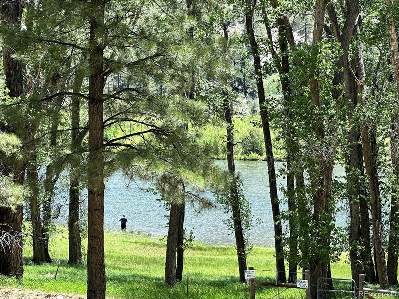 17408 County Road 291, Nathrop, CO 81236