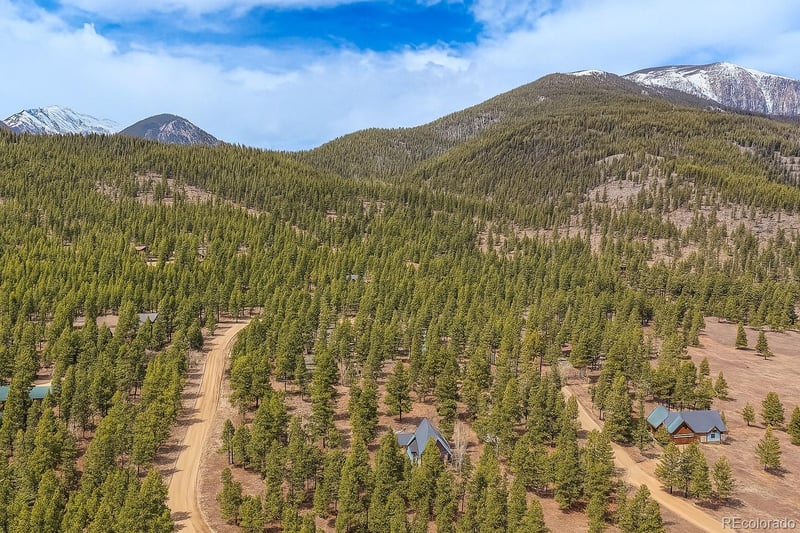 30406 National Forest Dr, Buena Vista, CO 81211