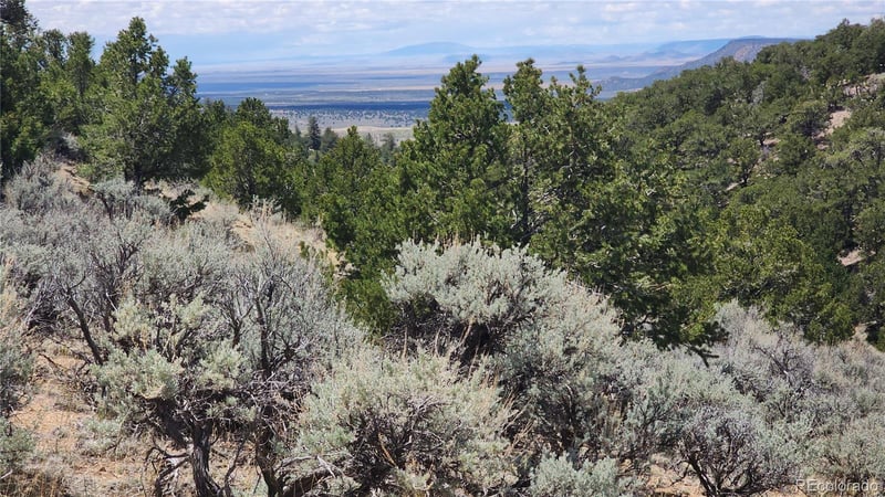 7430 - 7431 Waligunda Rd, Fort Garland, CO 81133