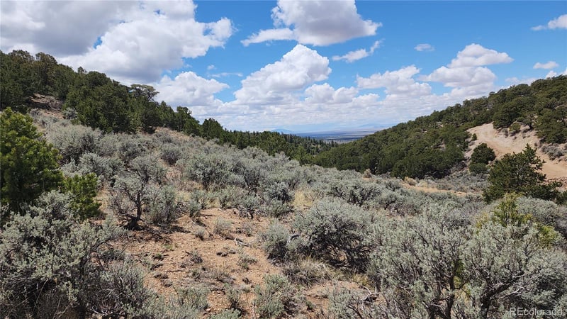 7430 - 7431 Waligunda Rd, Fort Garland, CO 81133