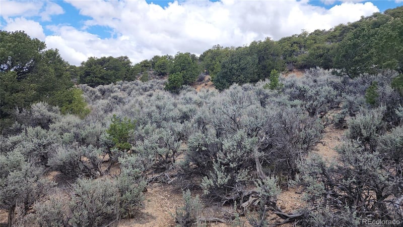 7430 - 7431 Waligunda Rd, Fort Garland, CO 81133