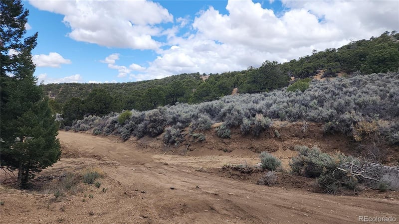 7430 - 7431 Waligunda Rd, Fort Garland, CO 81133