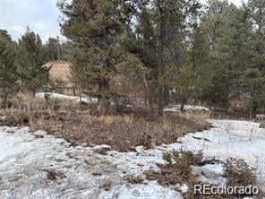 27793 Fawn Dr, Conifer, CO 80433