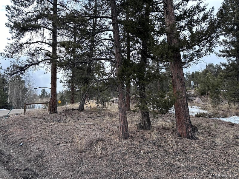 27793 Fawn Dr, Conifer, CO 80433