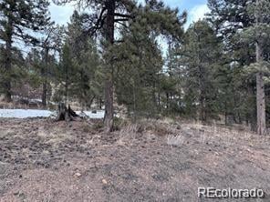 27793 Fawn Dr, Conifer, CO 80433