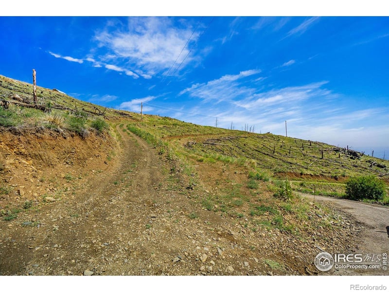 1600 Whale Rock Rd, Bellvue, CO 80512