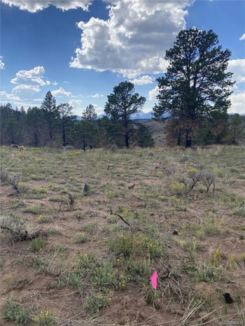 138 Macnaughton Dr, Fort Garland, CO 81133