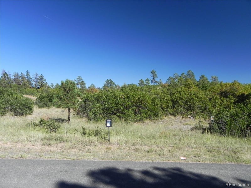7724 Corona Ct, Larkspur, CO 80118