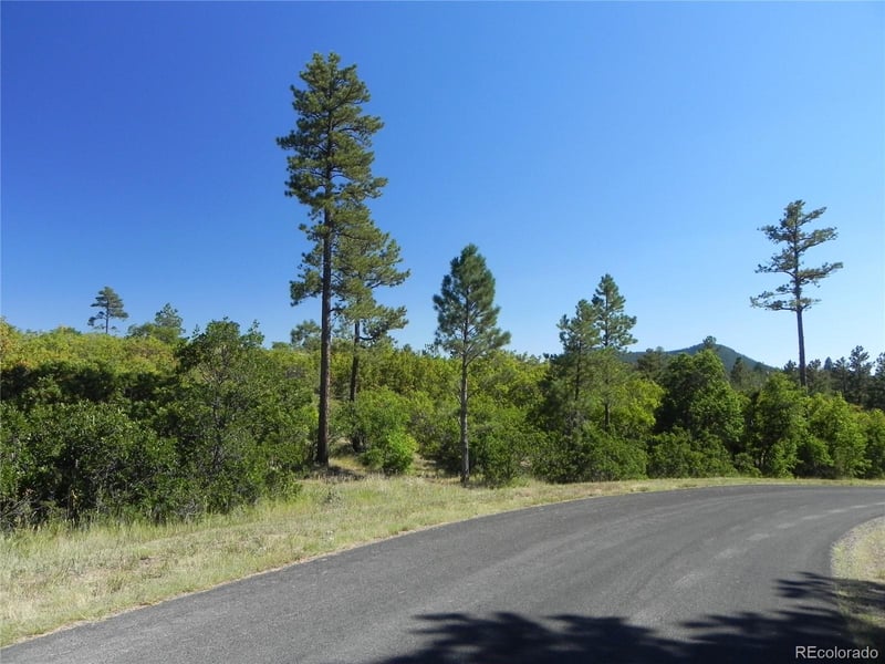 7724 Corona Ct, Larkspur, CO 80118