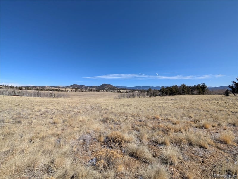 67 Colt Ln, Jefferson, CO 80456