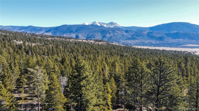 18961 Wagon Trl, Buena Vista, CO 81211