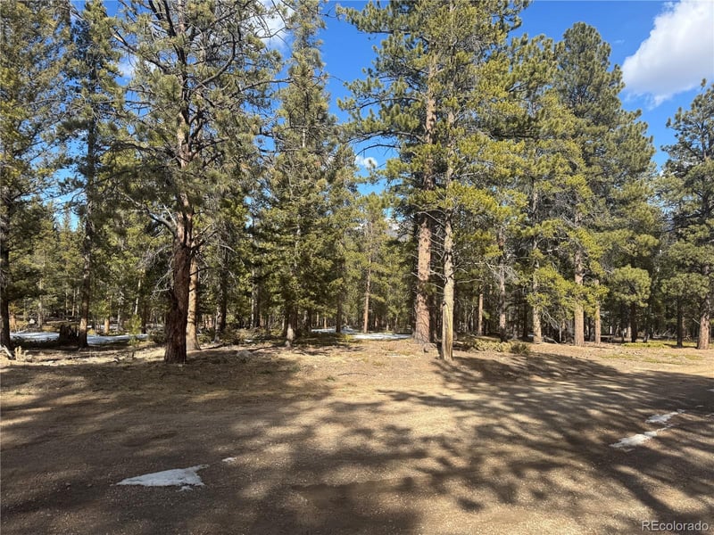 18961 Wagon Trl, Buena Vista, CO 81211