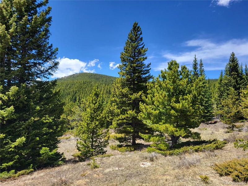 12702 Stewart Gulch Rd, Black Hawk, CO 80422