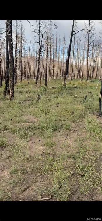 1386 Emery Loop, Fort Garland, CO 81133