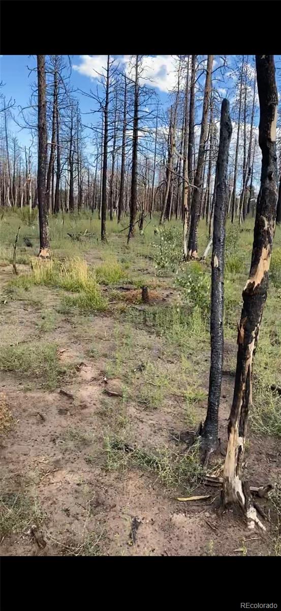 1386 Emery Loop, Fort Garland, CO 81133