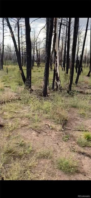 1386 Emery Loop, Fort Garland, CO 81133