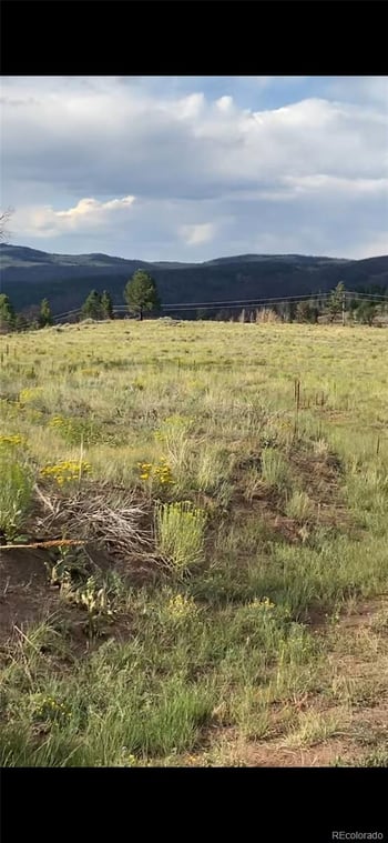 768 Shepard Pl, Fort Garland, CO 81133