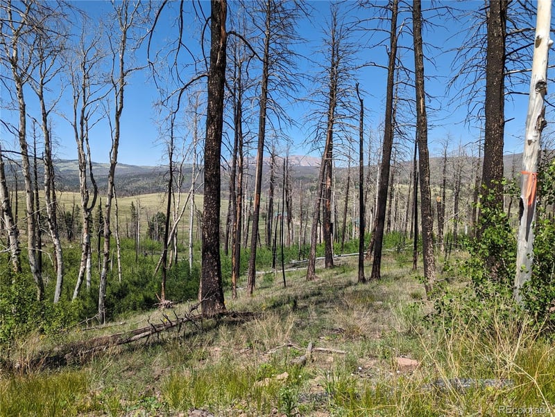 788 Duckworth Dr, Fort Garland, CO 81133