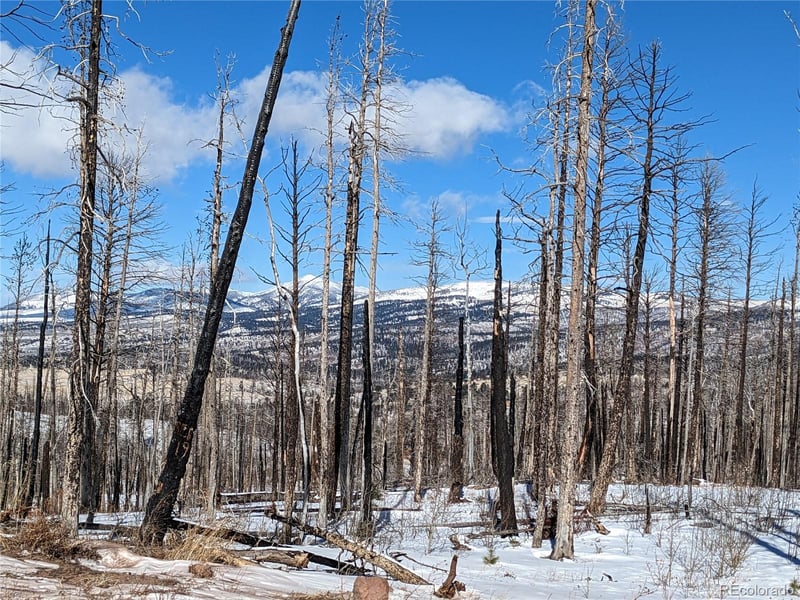 788 Duckworth Dr, Fort Garland, CO 81133