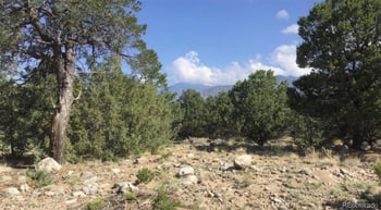 3514 Forest Trail Overlook, Crestone, CO 81131