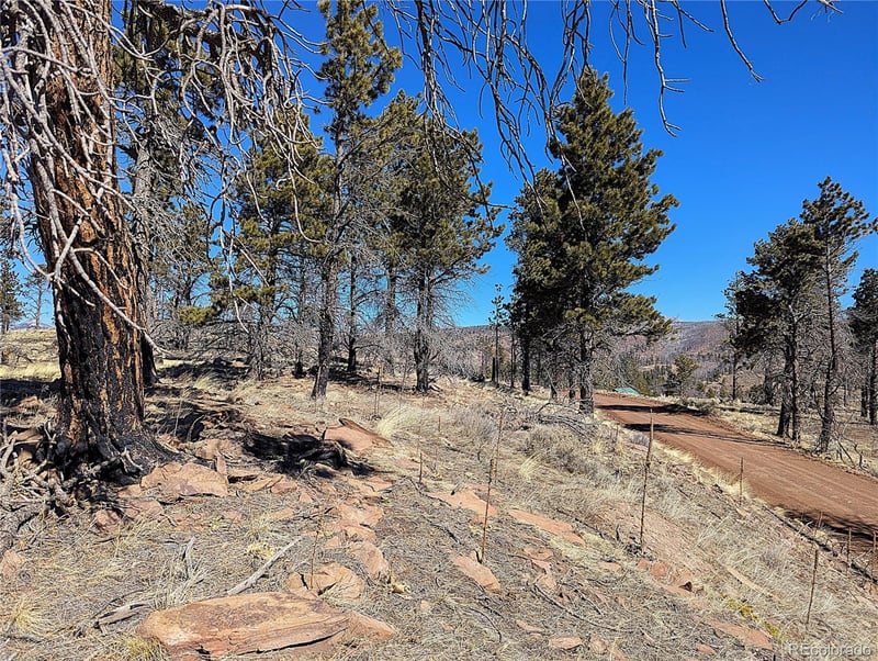 659 Richard Dr, Fort Garland, CO 81133
