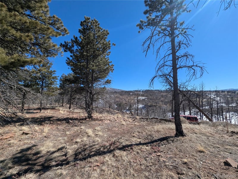 659 Richard Dr, Fort Garland, CO 81133