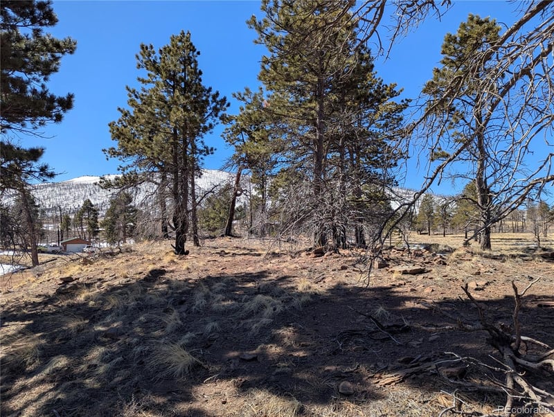 659 Richard Dr, Fort Garland, CO 81133