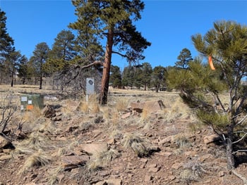 659 Richard Dr, Fort Garland, CO 81133