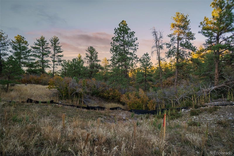 11011 Sunset Oaks Pl, Franktown, CO 80116