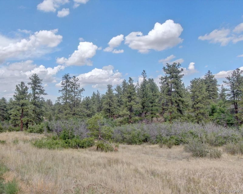 11011 Sunset Oaks Pl, Franktown, CO 80116