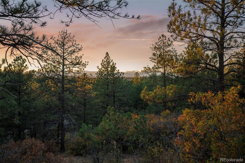 11011 Sunset Oaks Pl, Franktown, CO 80116